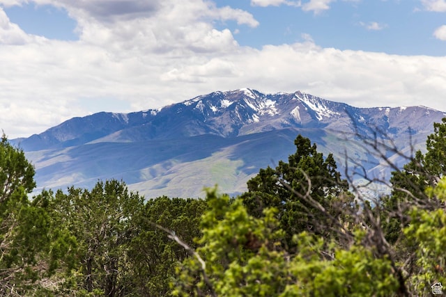 1531 N Red Castle Cir Unit 652, Heber City, UT 84032