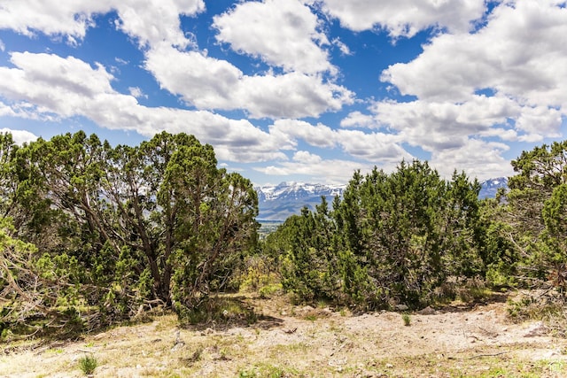 1531 N Red Castle Cir Unit 652, Heber City, UT 84032