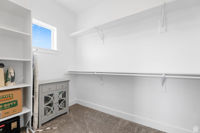 3932 W 2875 N, Plain City, UT 84404 - spacious closet with carpet