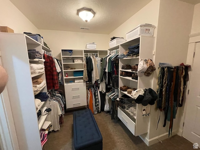 434 S Cardon Ridge Dr, Smithfield, UT 84335 - walk in closet with dark carpet