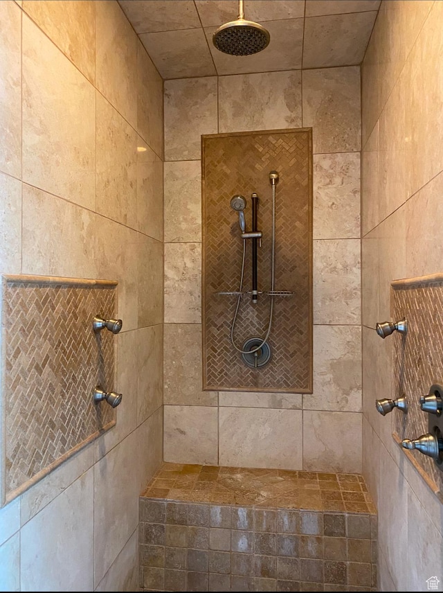 434 S Cardon Ridge Dr, Smithfield, UT 84335 - full bath featuring a tile shower