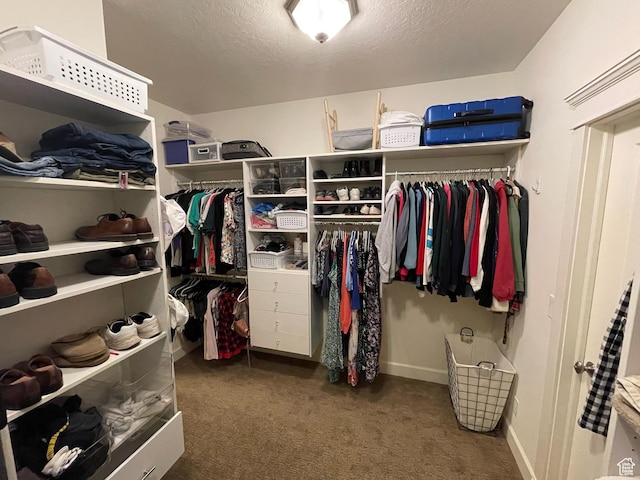 434 S Cardon Ridge Dr, Smithfield, UT 84335 - walk in closet featuring carpet flooring