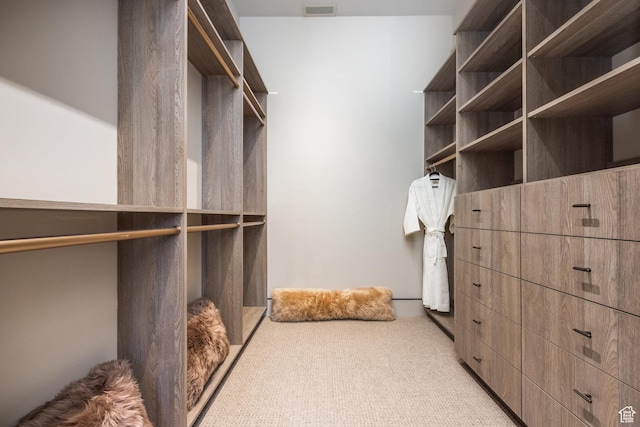 1920 E Rodeo Walk Dr Unit 516, Holladay, UT 84117 - walk in closet with light colored carpet