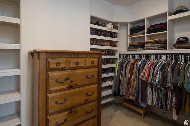 424 E Secret Cove Ct, Moab, UT 84532 - walk in closet featuring carpet