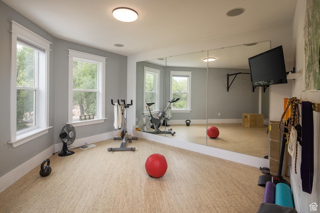424 E Secret Cove Ct, Moab, UT 84532 - exercise area featuring carpet flooring, baseboards, and plenty of natural light