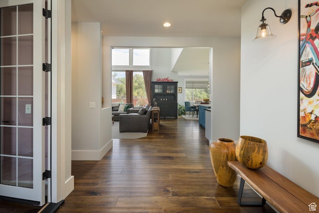 424 E Secret Cove Ct, Moab, UT 84532 - hall with recessed lighting, baseboards, dark wood-style floors, and a wealth of natural light