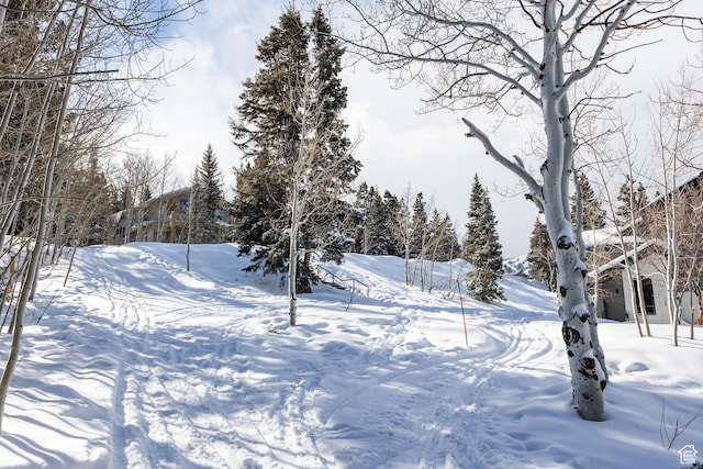 8165 E Royal St E # 11, Park City, UT 84060 - photo 51