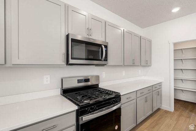 3141 W 3500 S Unit 113, West Haven, UT 84401 - kitchen with gray cabinetry, light countertops, and stainless steel appliances