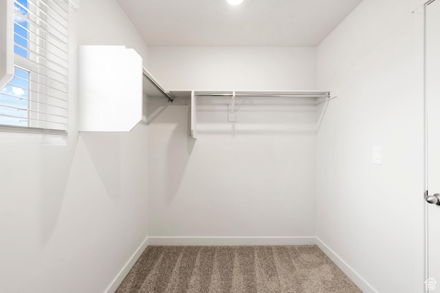 3141 W 3500 S Unit 113, West Haven, UT 84401 - walk in closet with carpet floors