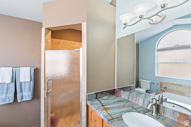 bathroom with vanity, an enclosed shower, and toilet
