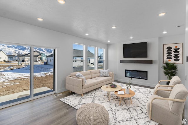 living room with wood-type flooring
