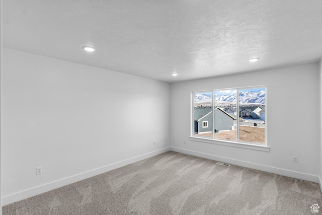 spare room with carpet floors and a textured ceiling