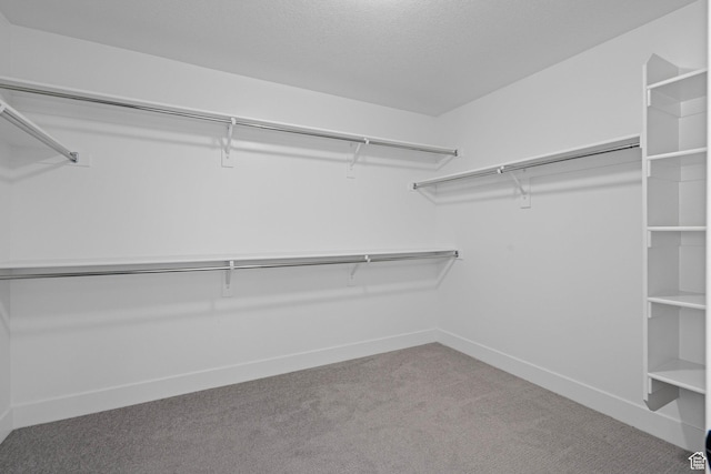 1504 S Lukas Ln, Saratoga Springs, UT 84045 - spacious closet with carpet