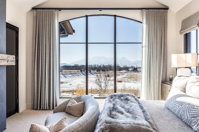 149 N Haystack Mountain Dr, Heber City, UT 84032 - bedroom featuring a mountain view, lofted ceiling, and carpet
