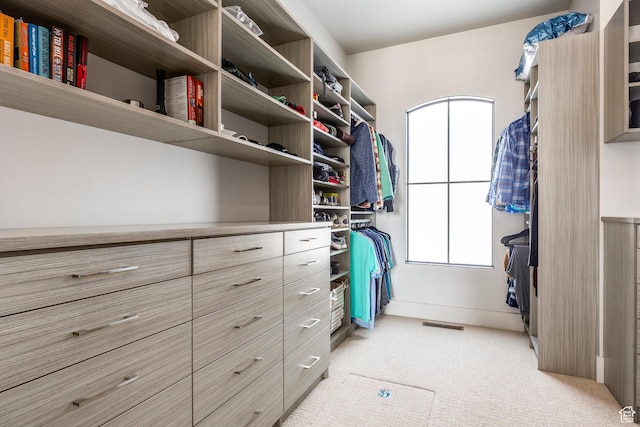 149 N Haystack Mountain Dr, Heber City, UT 84032 - spacious closet featuring light carpet