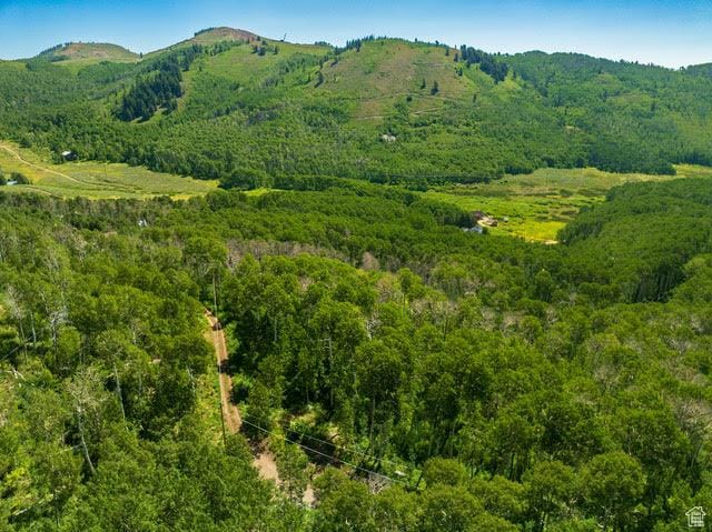 1665 W Marmot Ln Unit 17, Midway, UT 84049 - photo 17