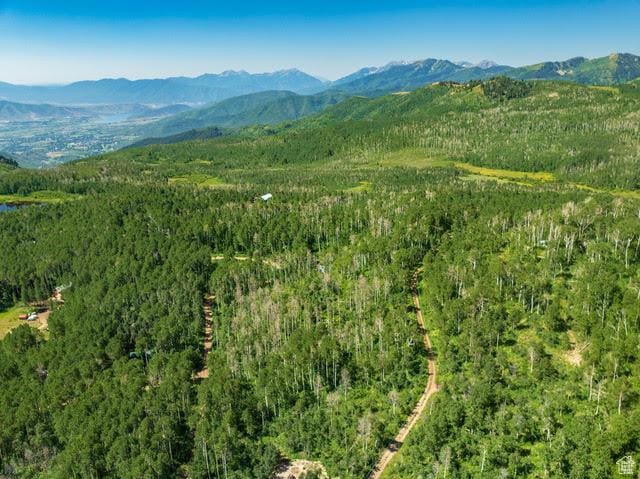1665 W Marmot Ln Unit 17, Midway, UT 84049 - photo 16