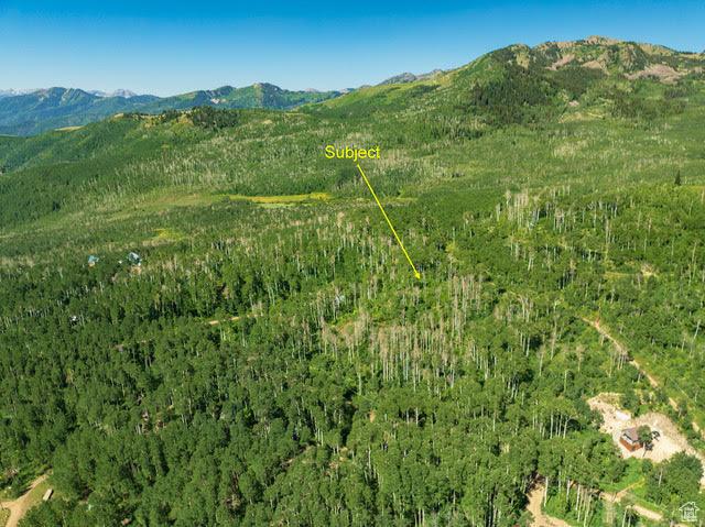 1665 W Marmot Ln Unit 17, Midway, UT 84049 - photo 4