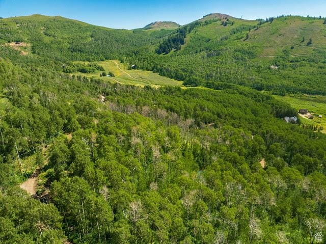 1665 W Marmot Ln Unit 17, Midway, UT 84049 - photo 11