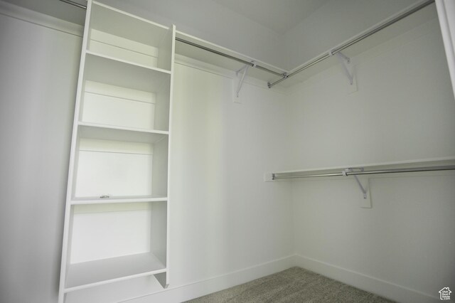 walk in closet with carpet