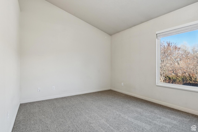 empty room featuring carpet