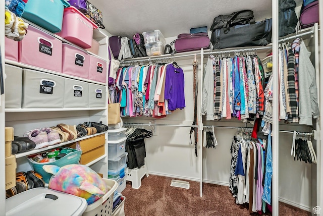 12159 S Swensen Cir, Riverton, UT 84096 - walk in closet featuring carpet