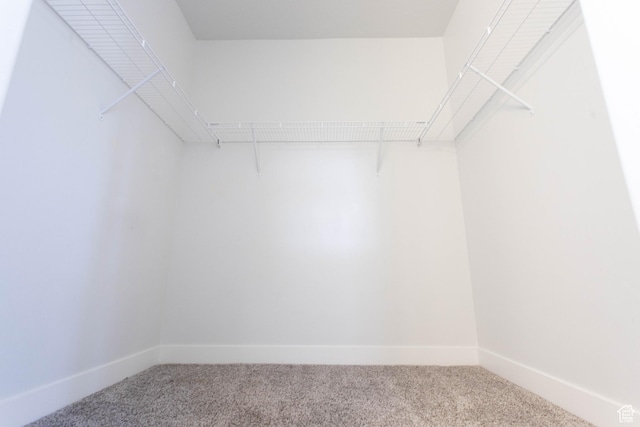 1454 N 3830 W Unit D201, Lehi, UT 84043 - walk in closet featuring light colored carpet