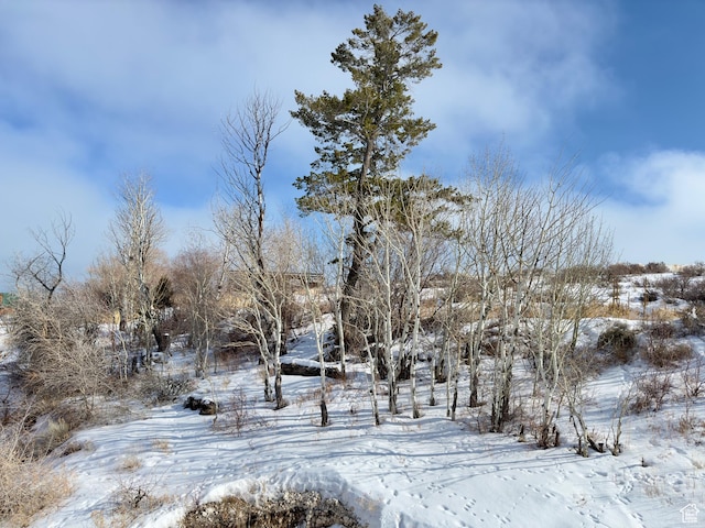 1610 N Mackinaw Way, Garden City, UT 84028 - view of yard covered in snow