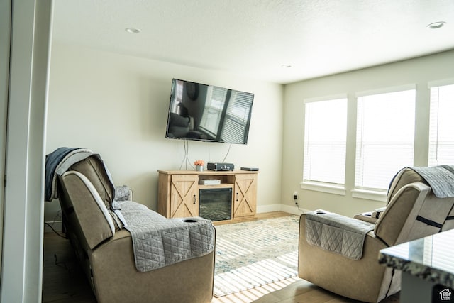 987 W 40 N, Spanish Fork, UT 84660 - living room with wood-type flooring