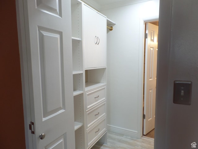 spacious closet with light hardwood / wood-style flooring