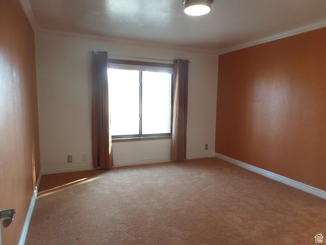 unfurnished room featuring ornamental molding and carpet