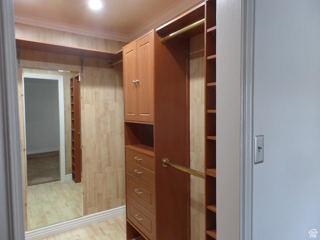 spacious closet featuring light hardwood / wood-style floors