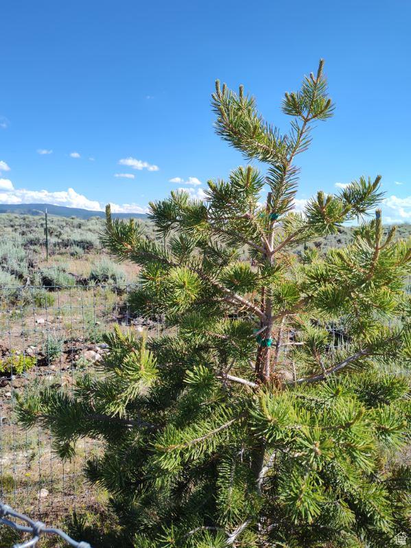 1538 County Road 164, Evanston, WY 82930