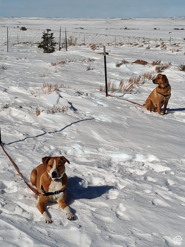 1538 County Road 164, Evanston, WY 82930