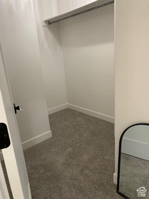 spacious closet featuring dark colored carpet
