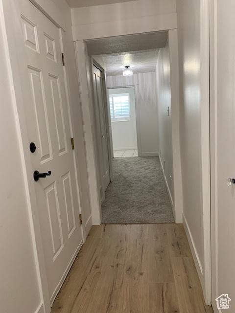 hallway featuring light hardwood / wood-style floors