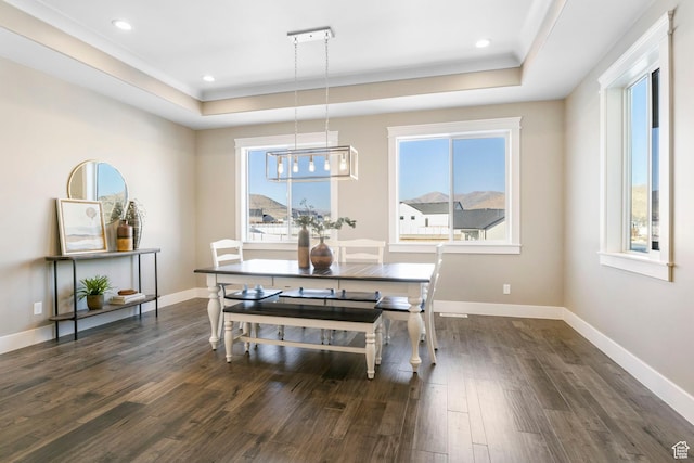 1595 E Duggan Dr, Eagle Mountain, UT 84005 - dining area with a raised ceiling and dark hardwood / wood-style flooring