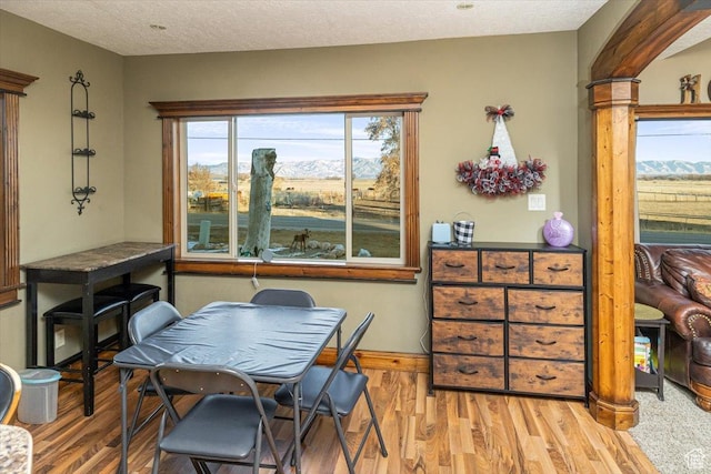 dining area featuring light hardwood / wood-style flooring and a textured ceiling