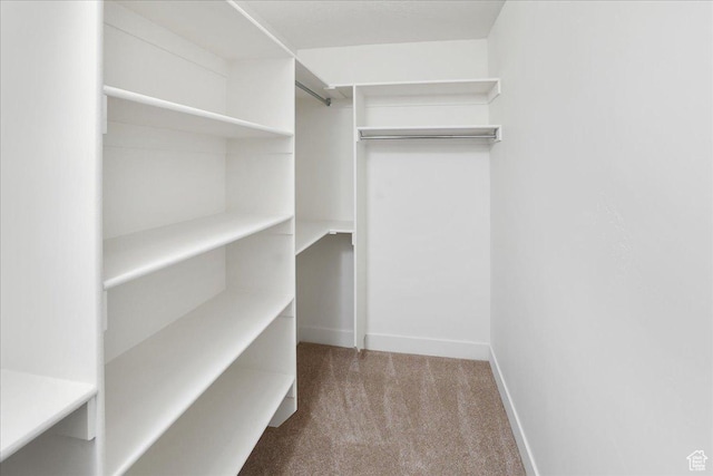 spacious closet with light colored carpet
