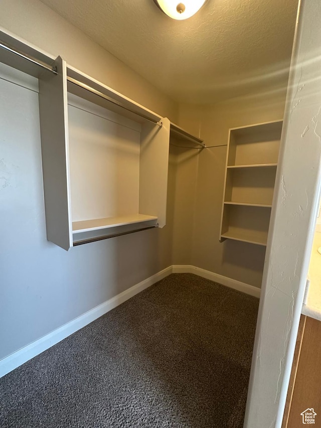 1288 N Cedar Blvd Unit 38-F, Cedar City, UT 84721 - spacious closet with carpet
