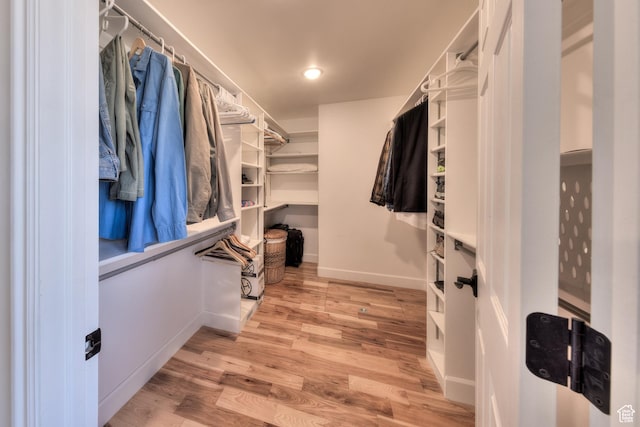4230 S Beeman Rd, Moab, UT 84532 - spacious closet with light wood-type flooring