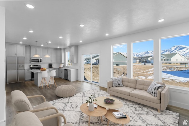 living room with dark hardwood / wood-style floors