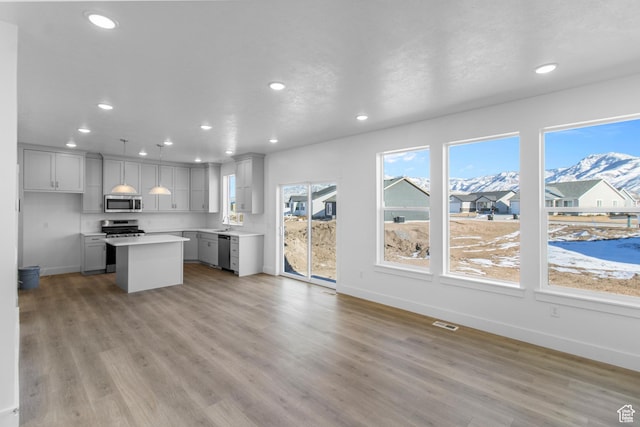 kitchen featuring appliances with stainless steel finishes, gray cabinetry, hanging light fixtures, light hardwood / wood-style floors, and a kitchen island