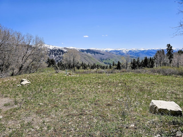 58 Thads Peak Dr Unit J58, Fairview, UT 84629