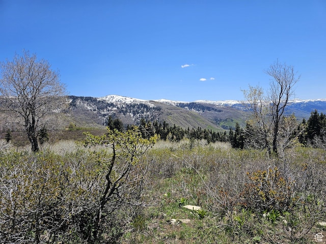 58 Thads Peak Dr Unit J58, Fairview, UT 84629