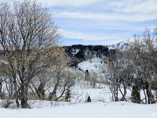 58 Thads Peak Dr Unit J58, Fairview, UT 84629