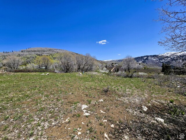 58 Thads Peak Dr Unit J58, Fairview, UT 84629