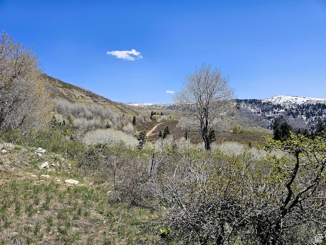 58 Thads Peak Dr Unit J58, Fairview, UT 84629