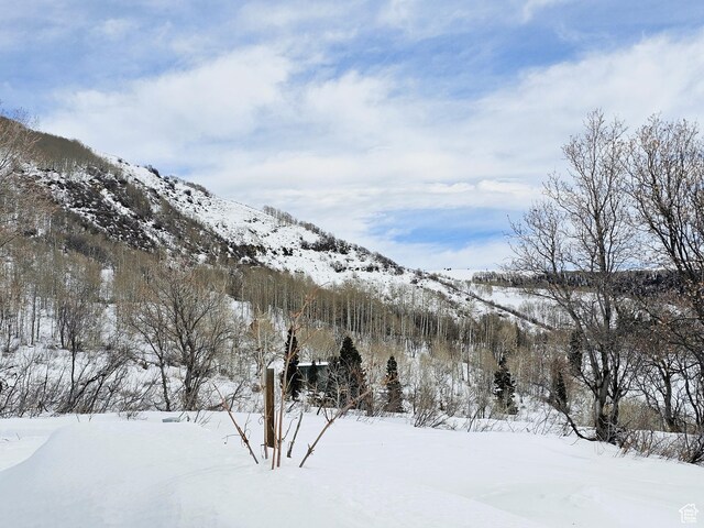 58 Thads Peak Dr Unit J58, Fairview, UT 84629