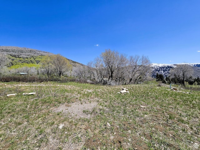 58 Thads Peak Dr Unit J58, Fairview, UT 84629